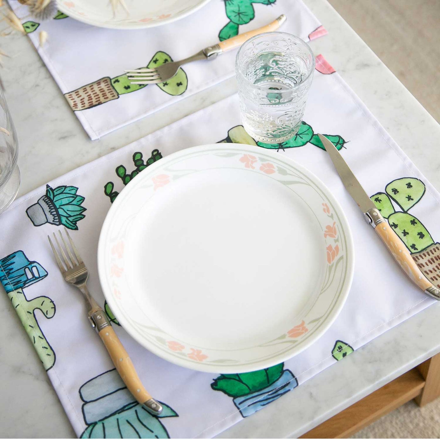 Set x 6 individuales anti manchas cactus